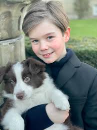 Eric the Border Collie