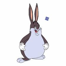 Scopri ricette, idee per la casa, consigli di stile e altre idee da provare. Fat Bunny Wallpapers Wallpaper Cave