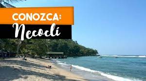 Acompáñanos a visitar una playa de necoclí, en el urabá antioqueño, que ha sido elegida por diferentes especies de tortugas en riesgo de extinción para poner. Turismo En Necocli Un Viaje De 4 Canguros Youtube