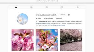 Click on the shopping bag then type in instagram and if any updates are available you will see a button that says update click on it to update it. How To Post To Instagram With A Web Browser By User Agent Spoofing August 2021