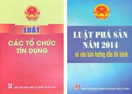Một số qui định khác biệt, thiếu thống nhất trong Luật Phá sản hiện hành và  Luật Các tổ chức tín dụng 2024