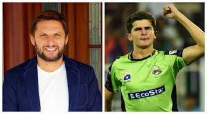 Image result for shah afridi
