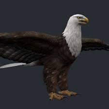 3d Model Eagle 3 C4d Obj 3ds Fbx Ma Lwo 95688 3d Model Eagle Prints