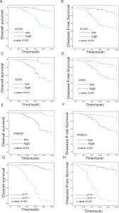 The ALDH2, IGSF9, and PRDM16 Proteins as Predictive Biomarkers for  Prognosis in Breast Cancer