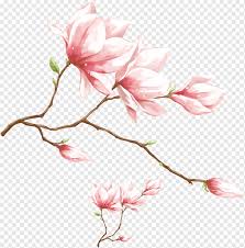 Loose watercolor flower painting demo. Pink Petaled Flowers Illustration 1080p High Definition Video Display Resolution Watercolor Pink Magnolia Flower Watercolor Painting Watercolor Leaves Flower Arranging Png Pngwing