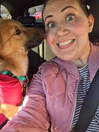 Adopted German Shepherd mix Winnie the Boop's transformation