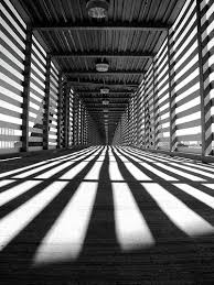 zebra crossing perspective photography shadow photography white photography