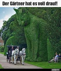 Der Gartner Hat Es Voll Drauf Lustige Bilder Spruche Witze Echt Lustig Bilder Kleine Hinterhofgarten Lustige Bilder