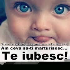 Dar tu ce ai face dacă ai rămâne doar cu un câine între patru pereți? Elisa Ely On Twitter Te Iubesc Si Imi Este Dor De Tine Si Pizda Mati Ca Nu Vrei Sa Esi Afara Http T Co Pteo4nx0cw