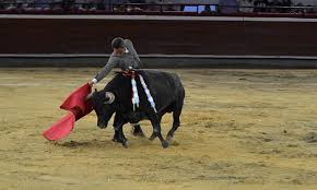 Cartel de lujo hoy en Cañaveralejo