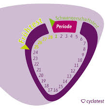 Bei positiven ergebnis ist man sicher schwanger, natürlich sind aber auch hier falsch negative ergebnisse durchaus möglich, z.b. á… Schwangerschaftstest Ab Wann Moglich Cyclotest