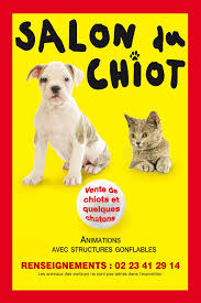 Maybe you would like to learn more about one of these? Salon Du Chiot Lorient Bretagne Sud Expos Congres
