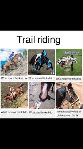 Trail Riding Funny Horse Memes Horse Jokes Horse Quotes Funny