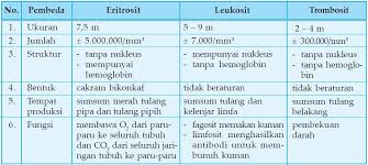 Pengertian Dan Fungsi Sel Darah Merah Eritrosit Sel Darah Putih Leukosit Dan Keping Darah Trombosit