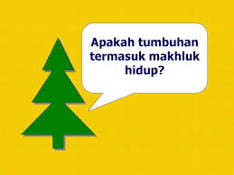 Apakah Tumbuhan Termasuk Makhluk Hidup Ppt Download