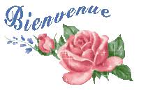 images?q=tbn:ANd9GcSHpybdxaIdqgQfRyoZHfpszphLytNgqkneLg&usqp=CAU