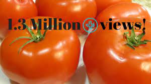 It tarts just above warmer room. Best Way To Store Tomatoes For Months No Cook Method Poonam S Kitchen Youtube