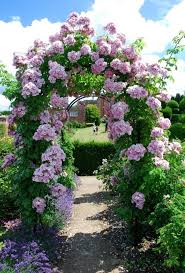 We did not find results for: Rose Arch Provides More Color And Fragrance In The Garden With Climbing Roses Beautiful Gardens Dream Garden Garden Arches
