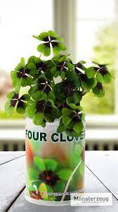 dosenpflanze glucksklee kleine geschenke fur frauen do it yourself geschenke glucksklee