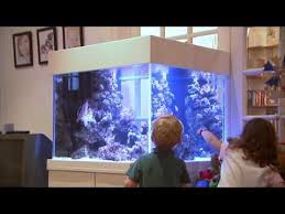 Aquarium Architecture Aquarium Architecture Aquarium Architecture