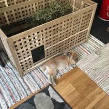 Diy rabbit cage remodel & bunny room tour hi bunny gang! Pin On Indoor Bunny Hutch