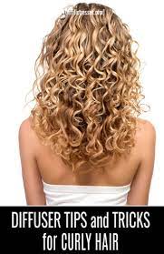 Anyone Who Wants Curls That Pop Should Know How To Permed Hairstyles Long Hair Perm Hair Diffuser