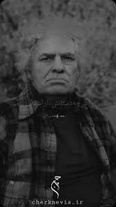 Instagram 用户 Ali Javidan