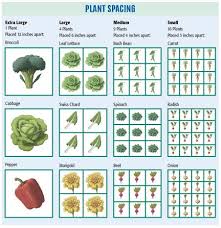 square foot gardening spacing chart edible vegetable