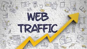 How To Grow Your Website Traffic In Six Months – Ali Raza | Local SEO Expert
