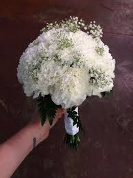 Maybe you would like to learn more about one of these? Bridal Bouquet White Carnations Babies Breath All White Wedding Flowers Memphis Tn Fiori Matrimonio Estivo Bouquet Matrimonio Bouquet Da Sposa Viola