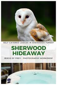 Sherwood Hideaway A Weekend Escape To Nottinghamshire Roaming Required England Travel Europe Travel Tips Europe Travel