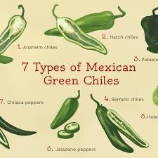 Arrange stuffed peppers in a baking dish. 7 Types Of Mexican Green Chiles