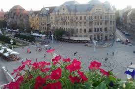 Pentru curatenia generala poti face o selectie a prosoapelor si sa le donezi pe cele uzate, de exemplu, unui adapost de caini. Curatenie Arhive