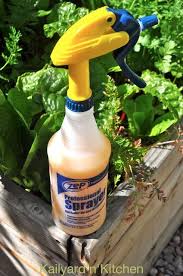 1 2 3 4 5 5 žvaigždutės iš 2 įvertinimų organic aphid spray. Plant Bug Spray Homemade Alcohol Search For A Good Cause