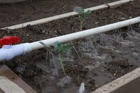 Become a better home owner! The Mittleider Irrigation System A Great Discovery Entry 208 Timber Butte Homestead