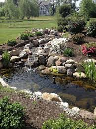 What about learning how to build a zipline in your backyard by yourself? Pond Build Fish Pond Gardens Waterfalls Backyard Ponds Backyard