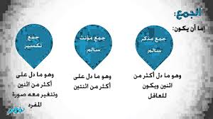 الاسم المفرد والمثنى والجمع نحو الصف الرابع الابتدائي الترم الثاني المنهج المصري نفهم Youtube