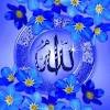 Butterfly gif masjid al haram allah names flowers gif allah wallpaper islamic images beautiful bugs neon. 1