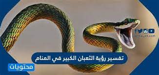 وقد اجتهد أشهر مفسري الأحلام كابن سيرين، والنابلسي، والإمام الصادق على تفسير رؤية الافاعي في المنام، وسنعرفكم اليوم على أشهر هذه التفسيرات. ØªÙØ³ÙŠØ± Ø³Ù… Ø§Ù„Ø§ÙØ¹Ù‰ ÙÙŠ Ø§Ù„Ù…Ù†Ø§Ù… ØªÙØ³ÙŠØ± Ø§Ù„Ø§ÙØ¹Ù‰ Ø§Ù„ØµÙØ±Ø§Ø¡ ÙÙŠ Ø§Ù„Ø­Ù„Ù… Ø±Ø¤ÙŠØ© Ø§Ù„Ø«Ø¹Ø¨Ø§Ù† Ø§Ù„Ø§ØµÙØ± ÙÙŠ Ø§Ù„Ù…Ù†Ø§Ù… ØªÙØ³ÙŠØ± Ø§Ù„Ø«Ø¹Ø¨Ø§Ù† ÙÙŠ Ø§Ù„Ù…Ù†Ø§Ù… Ù„Ù„Ù†Ø§Ø¨Ù„Ø³ÙŠ Ø§Ù„Ø«Ø¹Ø¨Ø§Ù† ÙŠØ¯Ù„ ÙÙŠ Ø§Ù„Ù…Ù†Ø§Ù… Ø¹Ù„Ù‰ Ø±Ø¬Ù„ Ø§Ù„ÙˆØ§Ø¯ÙŠ Alimenta Tu Web