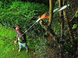 Maybe you would like to learn more about one of these? Comment Couper Des Branches En Hauteur Elagueuse Warrior