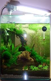 Mon Nano Bac 20 Litres A Crevettes Crevette Aquarium Aquarium Crevettes