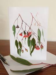 Fine Art Card Quot Eucalyptus Caesia Quot Silver Princess Gum Taken From Original Botanical Water Colour Fine Art Card Ipad Wallpaper Watercolor Card Art