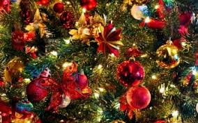 Don't have your christmas tree set up yet? Christmas Tree Disposal Information