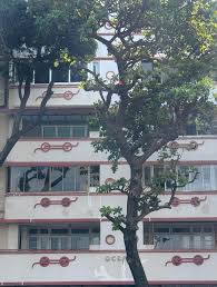 Bombay in an ensemble of Art Deco ...