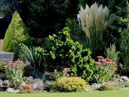 Weitere ideen zu gartengestaltung, garten, garten design. Zwerg Muschel Zypresse Nana Gracilis Chamaecyparis Obtusa Nana Gracilis Baumschule Horstmann