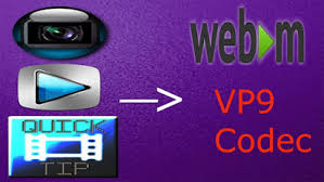 Solved Know About Vp9 And How To Open And Play Vp9 Leawo Tutorial Center