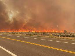 Welcome to the web pages for south lake tahoe fire rescue. Tamarack Fire Burning Near South Lake Tahoe Crosses Nevada Border