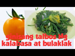Ginisang bulaklak ng kalabasaingredients2 can century tuna2 big bundle bulaklak ng kalabasa, trimmed1 big bundle talbos ng kalabasa, trimmed1 big eggplant 1/. Ginisang Talbos Ng Kalabasa At Bulaklak Youtube