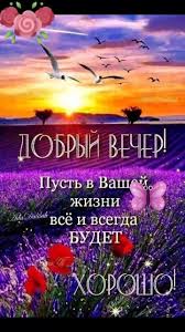 #Добрый летний вечер#!#Хорошего отдыха!# | TikTok