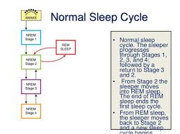 Normal Sleep Architecture